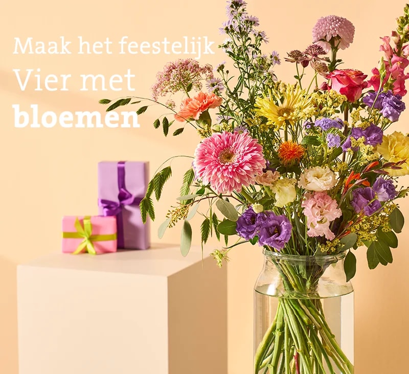 header verjaardag mb26