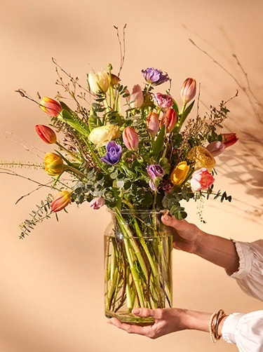 tulpen kopen alles over tulpen