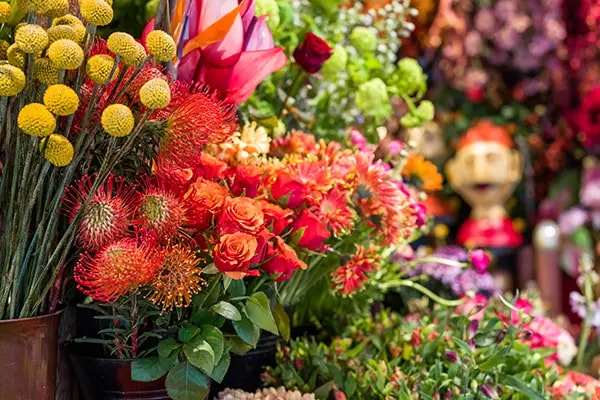 verse bloemen oogenlust