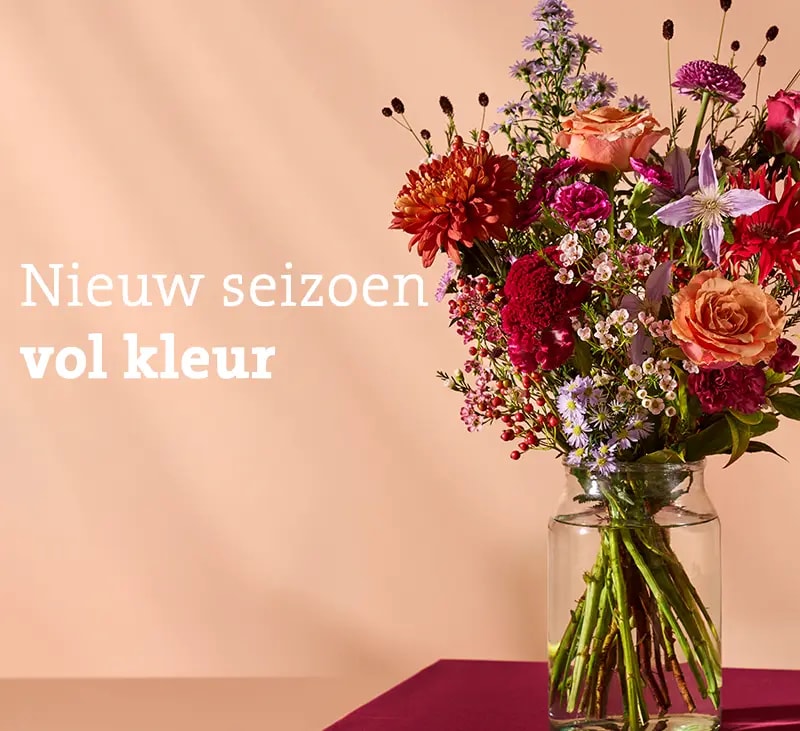 header najaar oktober 2026 mb