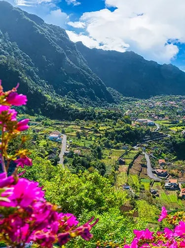 bloemeneiland-madeira