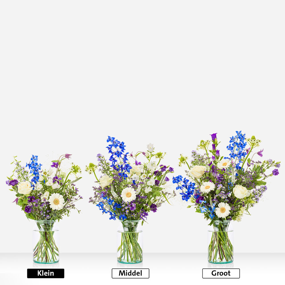 Feestelijk blauw