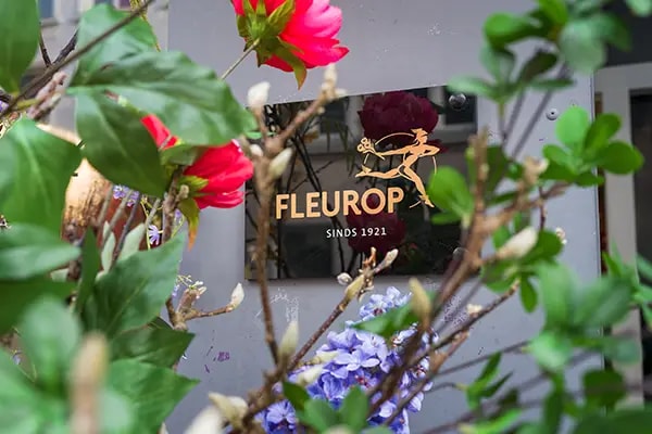 fleurop logo dennis kuijlaars