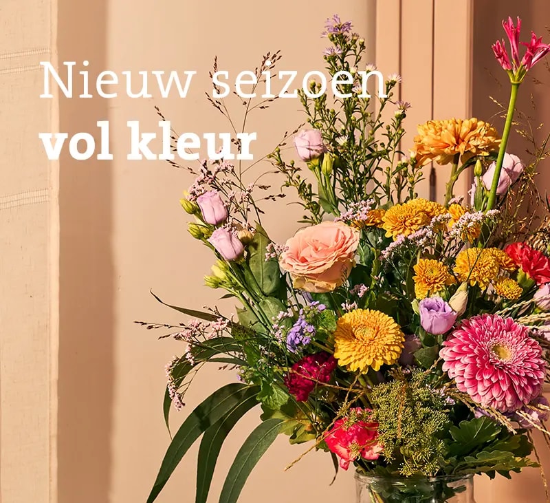 header vol kleur september 26 mb