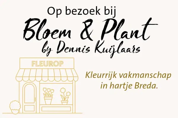 op bezoek bij dennis