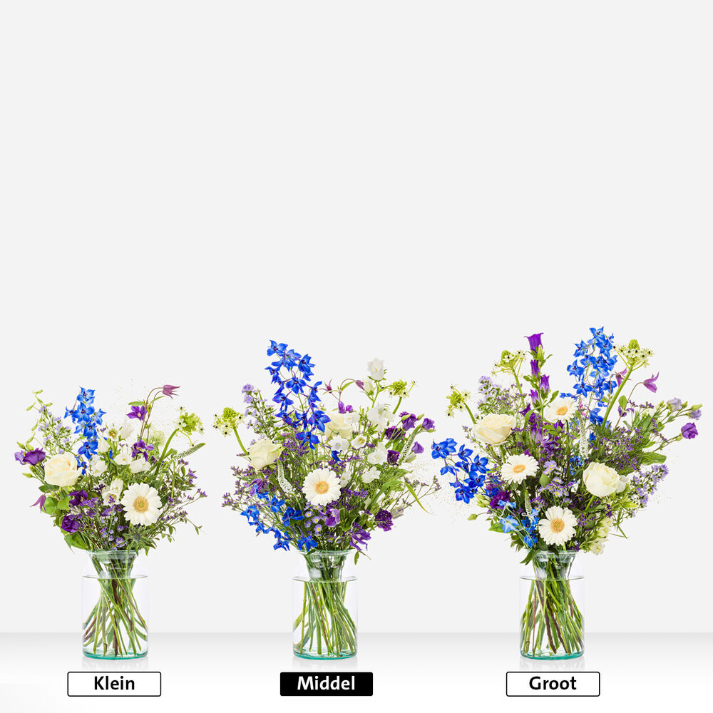 Cadeauset Geboorte blauw