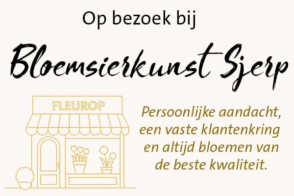 op bezoek bij sjerp