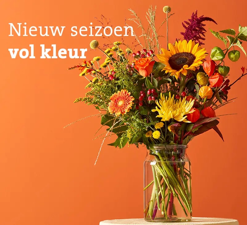 header herfsttint sep mb
