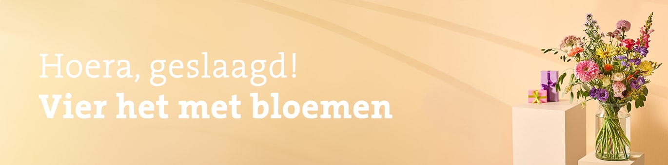header geslaagd 2026