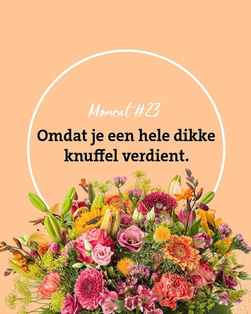 Moment-23