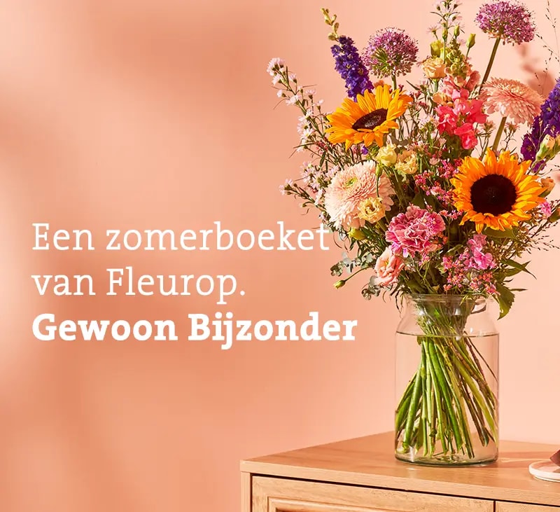 zomerpracht header mb
