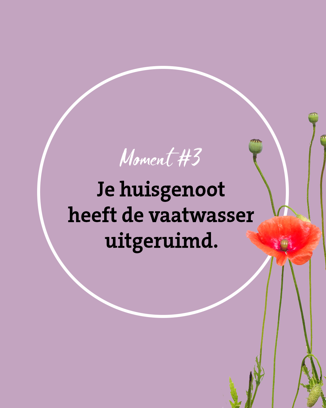 moment bloemen bezorgen 3