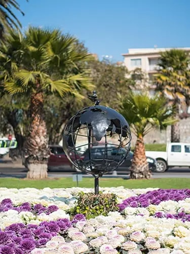 bloemenstad vamos a vina del mar