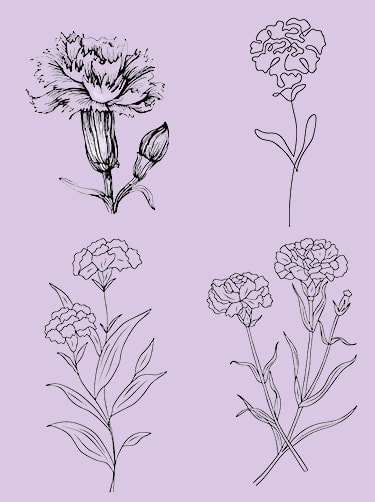 Betekenis-anjer-tattoo