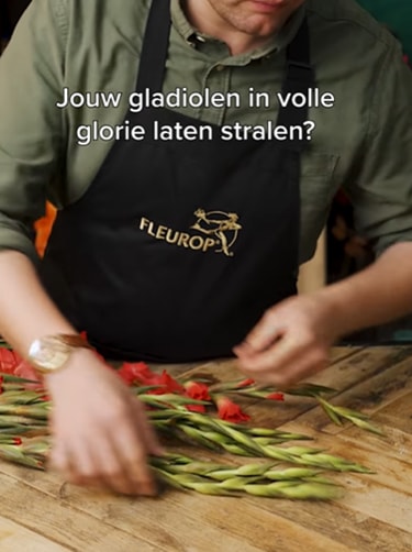 Flowerhack-gladiool