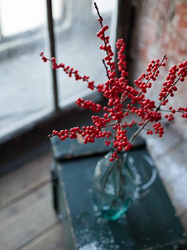 rode-ilex-hulst-fleurop