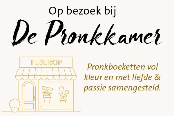 op bezoek bij de pronkkamer in twello
