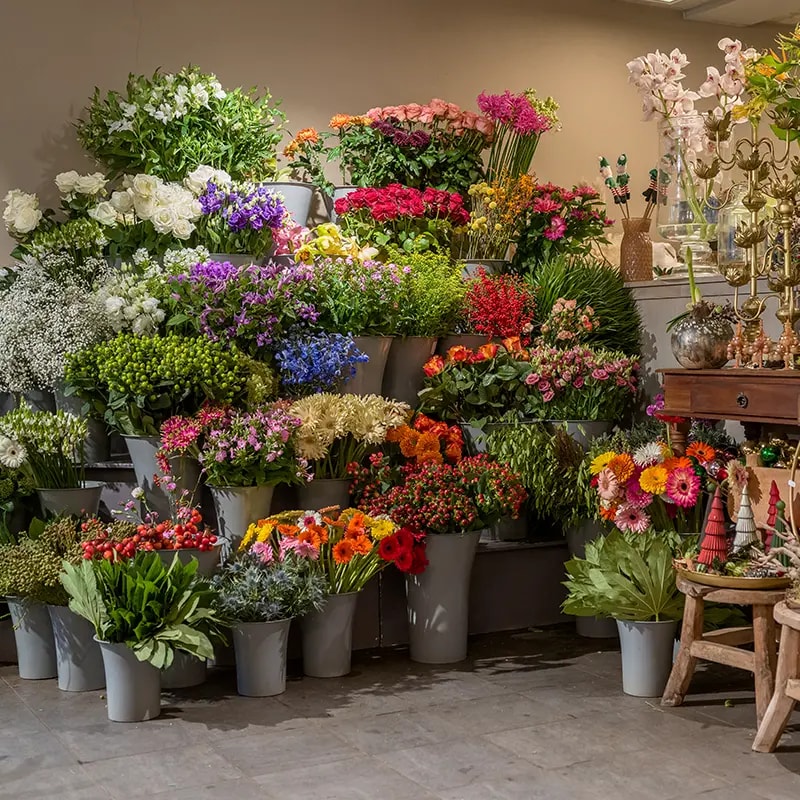 bloemenpresentatie spaansen bloemen