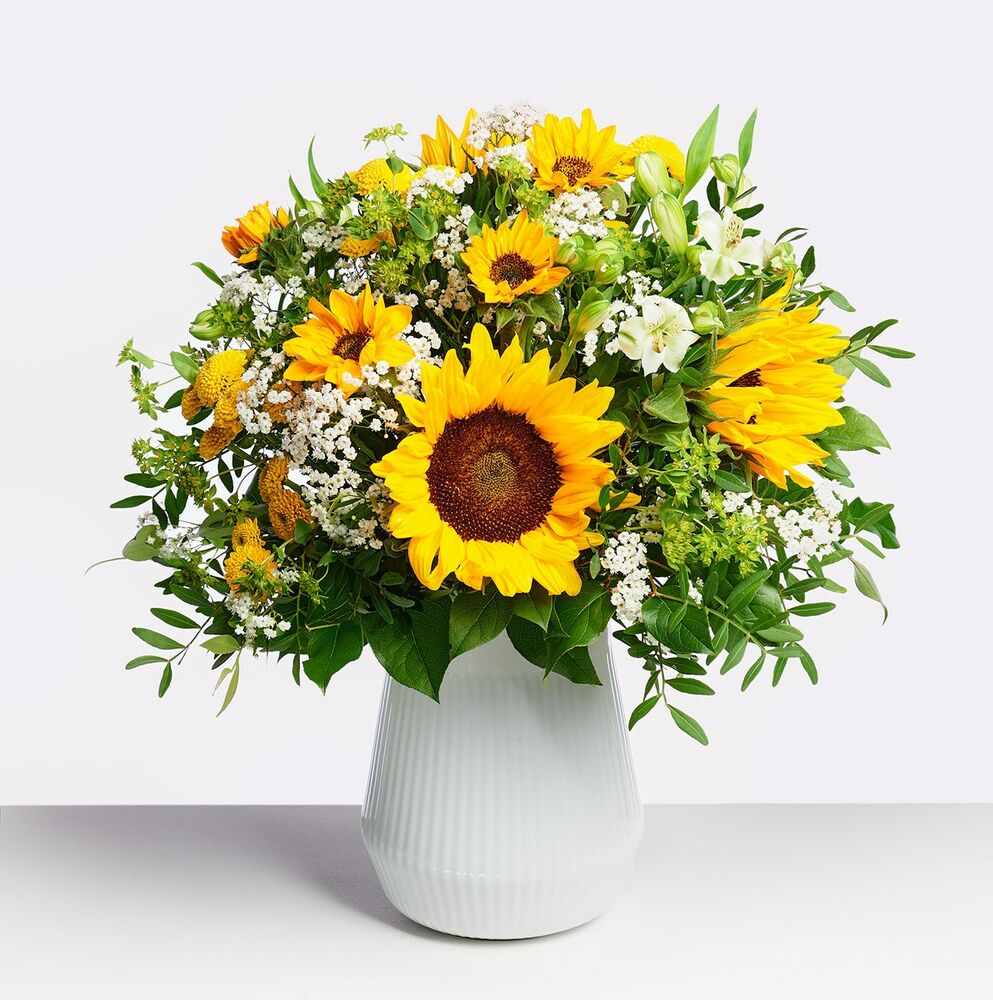 Sunflower Power