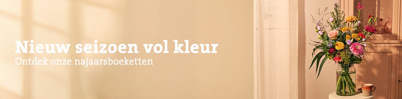 header vol kleur september 2026