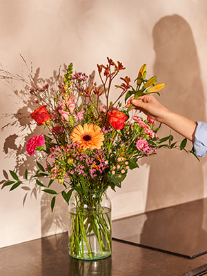 Verzorgingsadvies-gerbera Verzorgingsadvies-gerbera