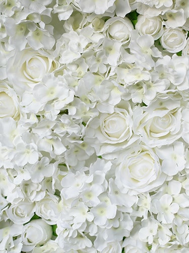 Witte-bloemen