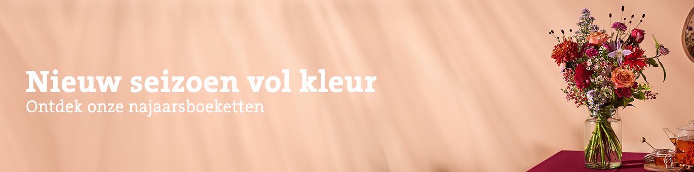 header najaar oktober 2026