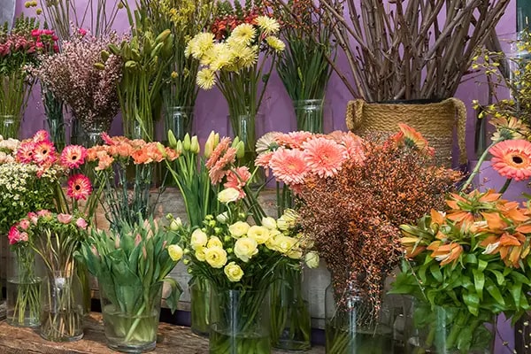 bloemen presentatie rodolf bloemisten
