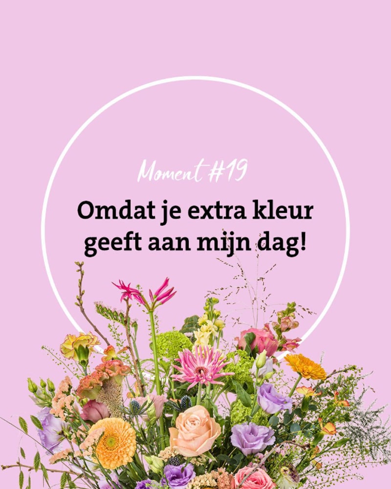 Moment-19
