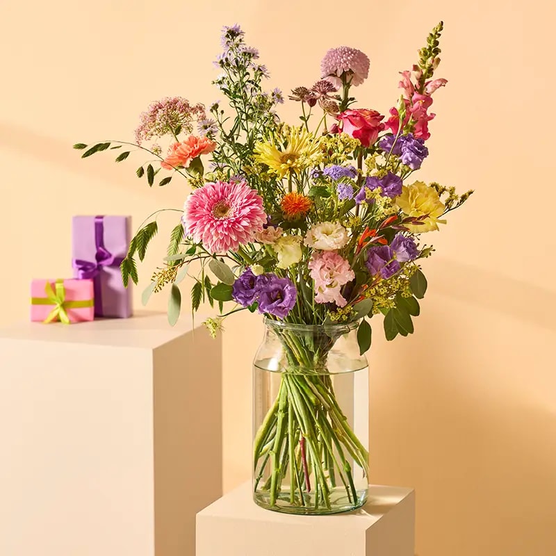cta-cat-geslaagd-bloemen