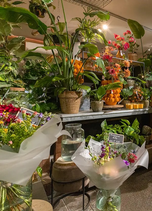 binnenkijken bij bloem en plant by dennis kuijlaars