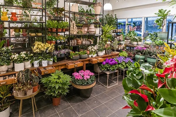 bloemenwinkel sjerp rotterdam