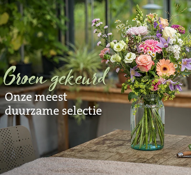 groen gekeurd meest duurzame selectie mb