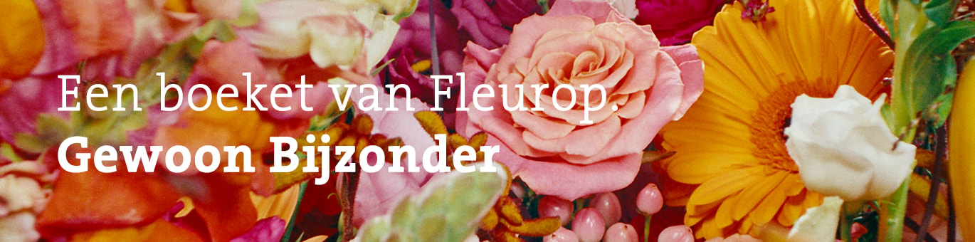 header vrolijk plukboeket gewoon bijzonder 26