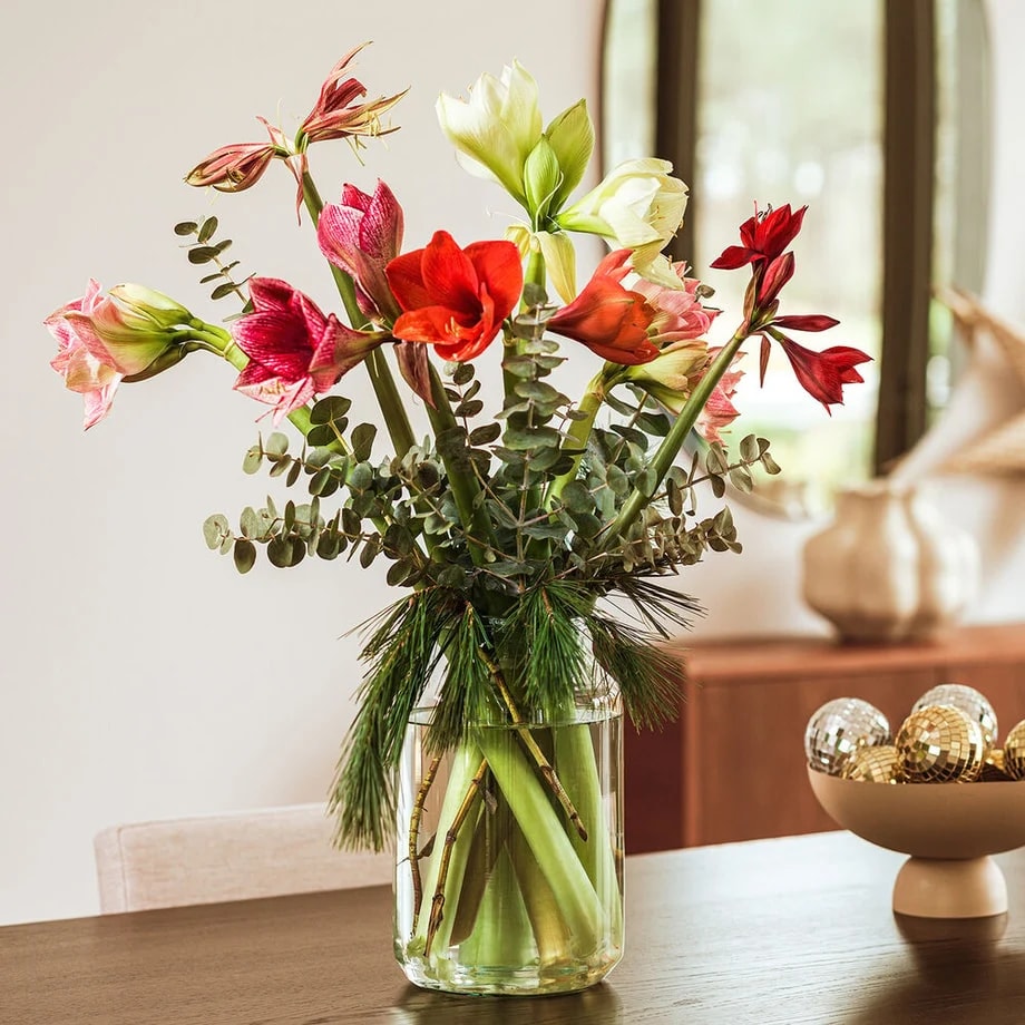 amaryllis bloemen en boeketten
