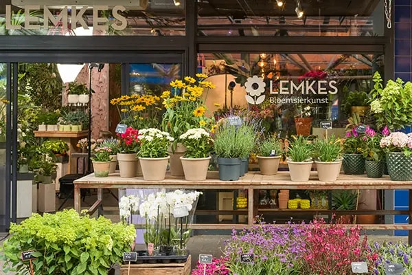 bloemist lemkes