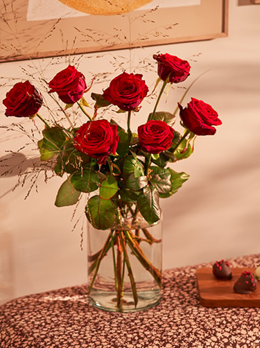 Rode-bloemen-de-roos