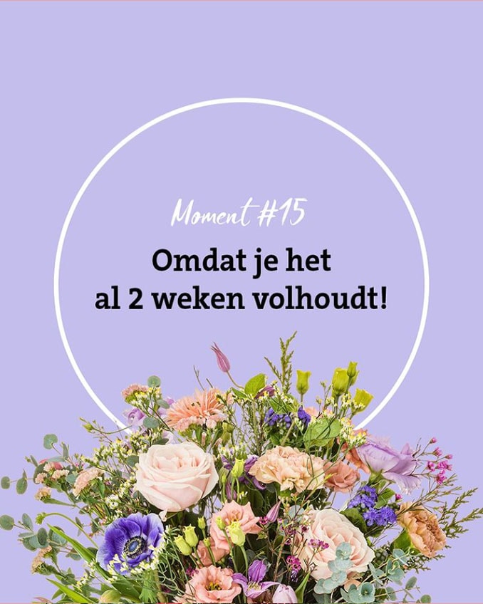 Moment-15