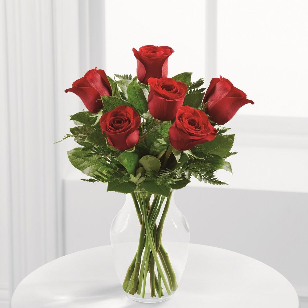 Simply Enchanting Rose