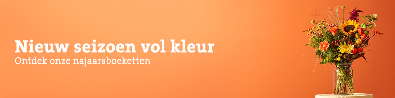 header herfsttint sep-26