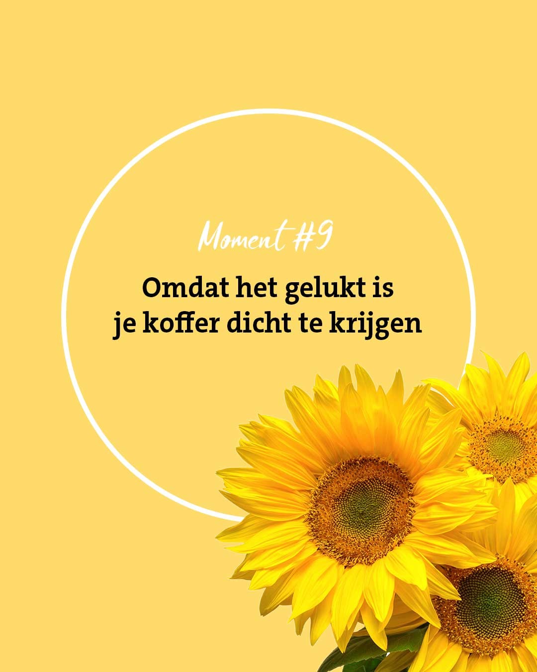 momen-9-koffer