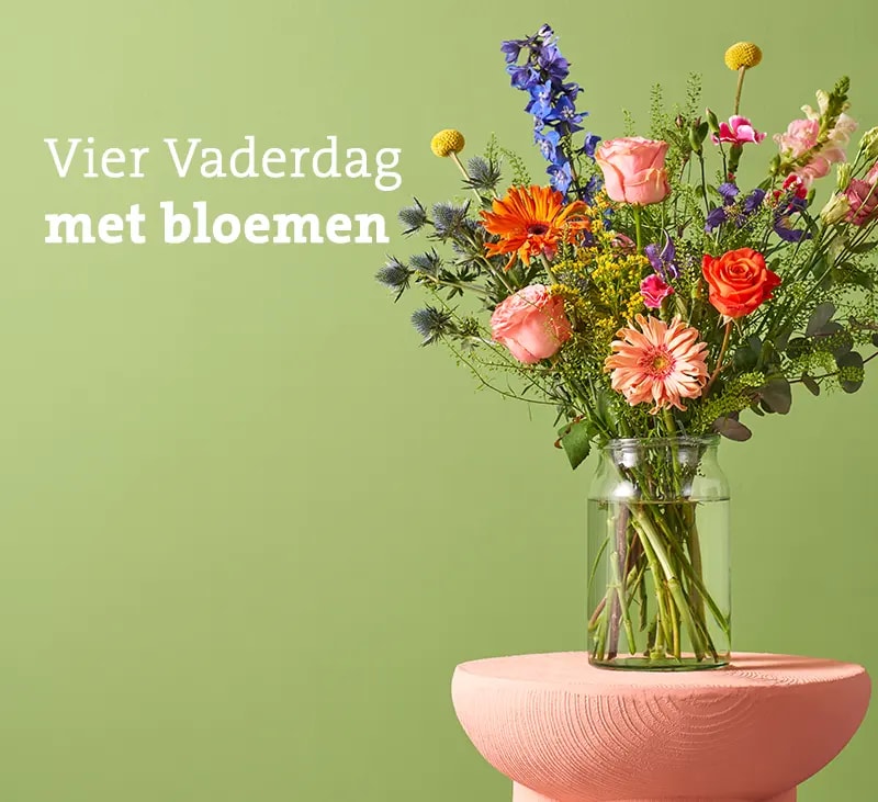 vaderdag header mb 2026
