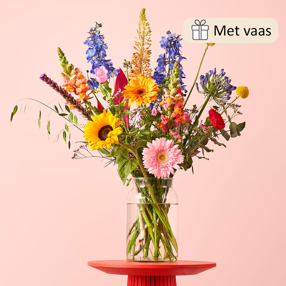Cadeauset Zonovergoten