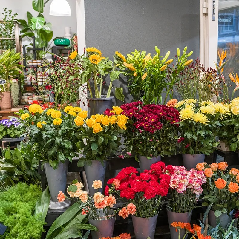 bloemenpresentatie sjerp rotterdam