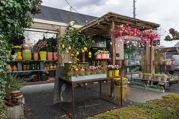 bloemenwinkel ulvenhout