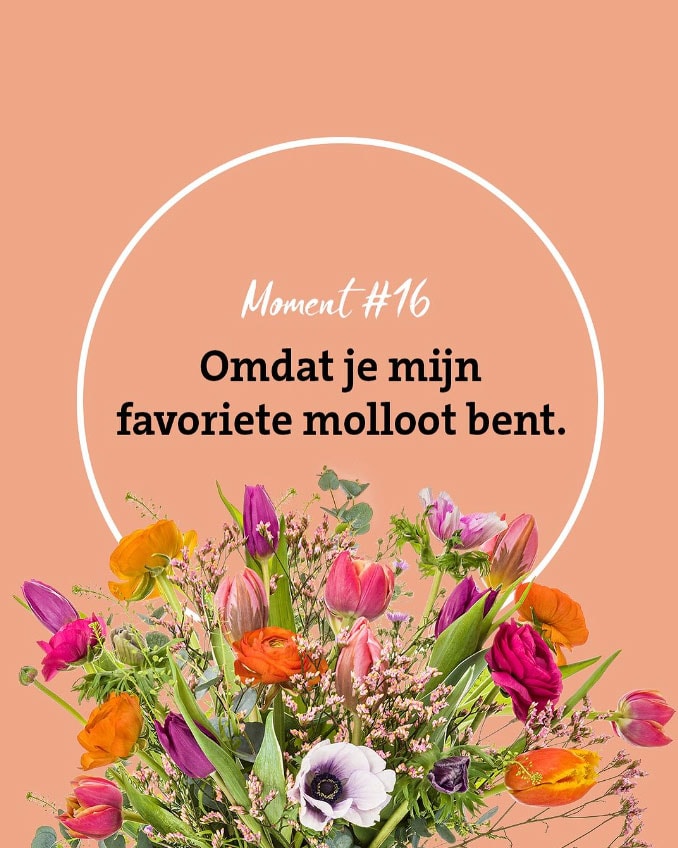 Moment-16