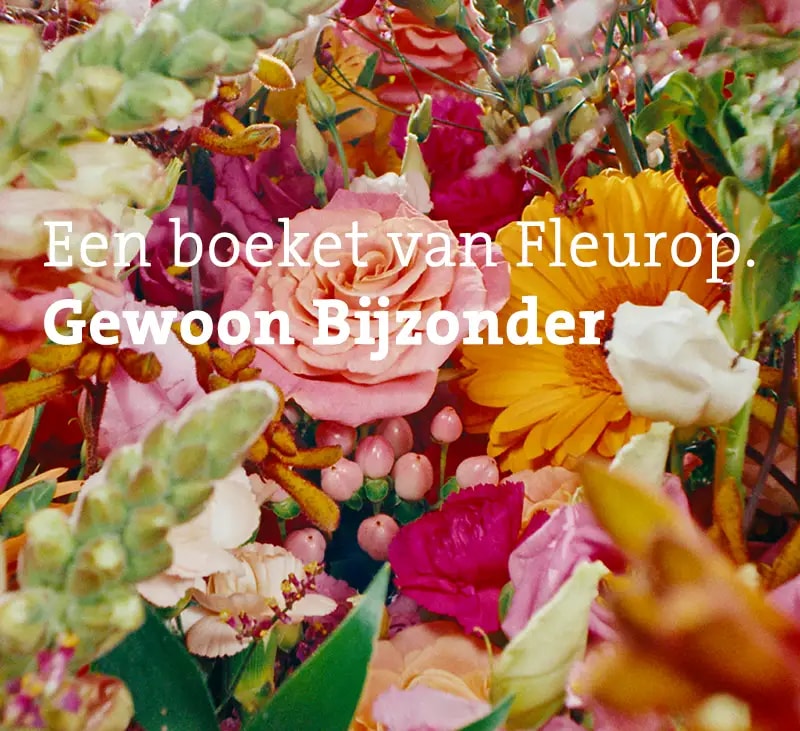 header vrolijk plukboeket gewoon bijzonder mb