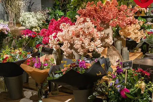 bloemen dennis kuijlaars breda