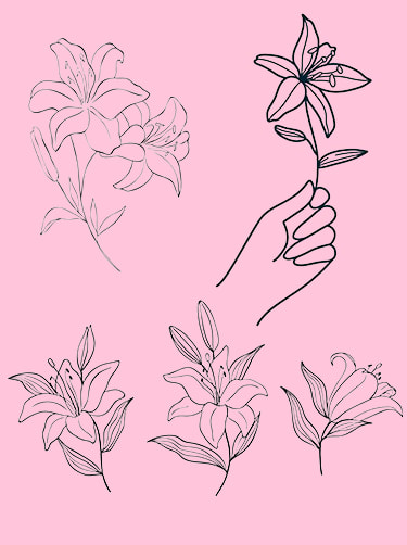 Betekenis-lelie-tatto