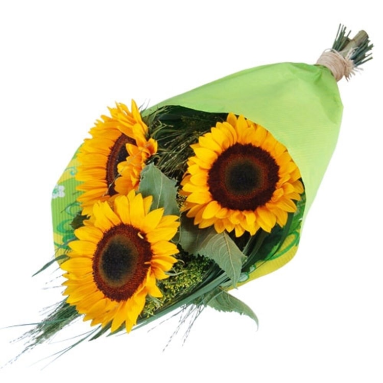 Three sunflowers composition